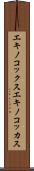 エキノコックス Scroll