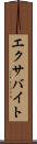 エクサバイト Scroll