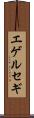 エゲルセギ Scroll