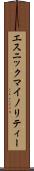 エスニック・マイノリティー Scroll