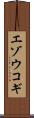エゾウコギ Scroll