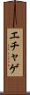 エチャゲ Scroll