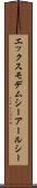 エックスモデムシーアールシー Scroll