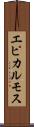 エピカルモス Scroll