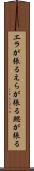 エラが張る Scroll