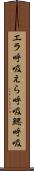 エラ呼吸 Scroll