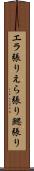 エラ張り Scroll