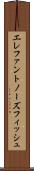 エレファントノーズフィッシュ Scroll