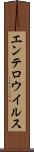 エンテロウイルス Scroll