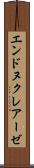 エンドヌクレアーゼ Scroll