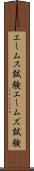 エームス試験 Scroll