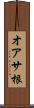 オアサ根 Scroll