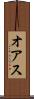 オアス Scroll