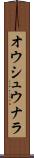 オウシュウナラ Scroll