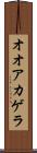 オオアカゲラ Scroll