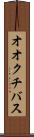 オオクチバス Scroll