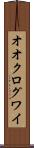 オオクログワイ Scroll