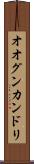 オオグンカンドリ Scroll
