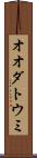 オオダトウミ Scroll