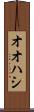 オオハシ Scroll