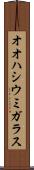 オオハシウミガラス Scroll