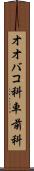 オオバコ科 Scroll