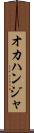 オカハンジャ Scroll