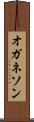 オガネソン Scroll