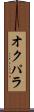 オクパラ Scroll