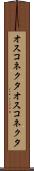 オスコネクタ Scroll
