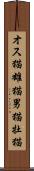 オス猫 Scroll