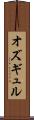 オズギュル Scroll