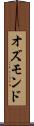 オズモンド Scroll