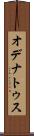 オデナトゥス Scroll