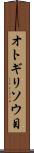 オトギリソウ目 Scroll