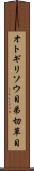 オトギリソウ目 Scroll