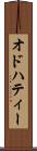 オドハティー Scroll