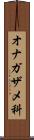 オナガザメ科 Scroll