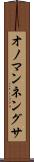 オノマンネングサ Scroll