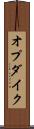 オプダイク Scroll