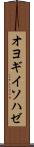 オヨギイソハゼ Scroll