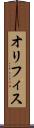 オリフィス Scroll