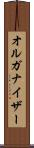 オルガナイザー Scroll