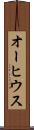 オーヒウス Scroll