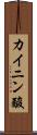 カイニン酸 Scroll