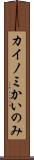 カイノミ Scroll