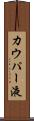 カウパー液 Scroll
