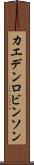Kaeden Robinson Scroll