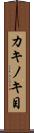 カキノキ目 Scroll
