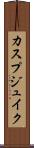 カスプジュイク Scroll